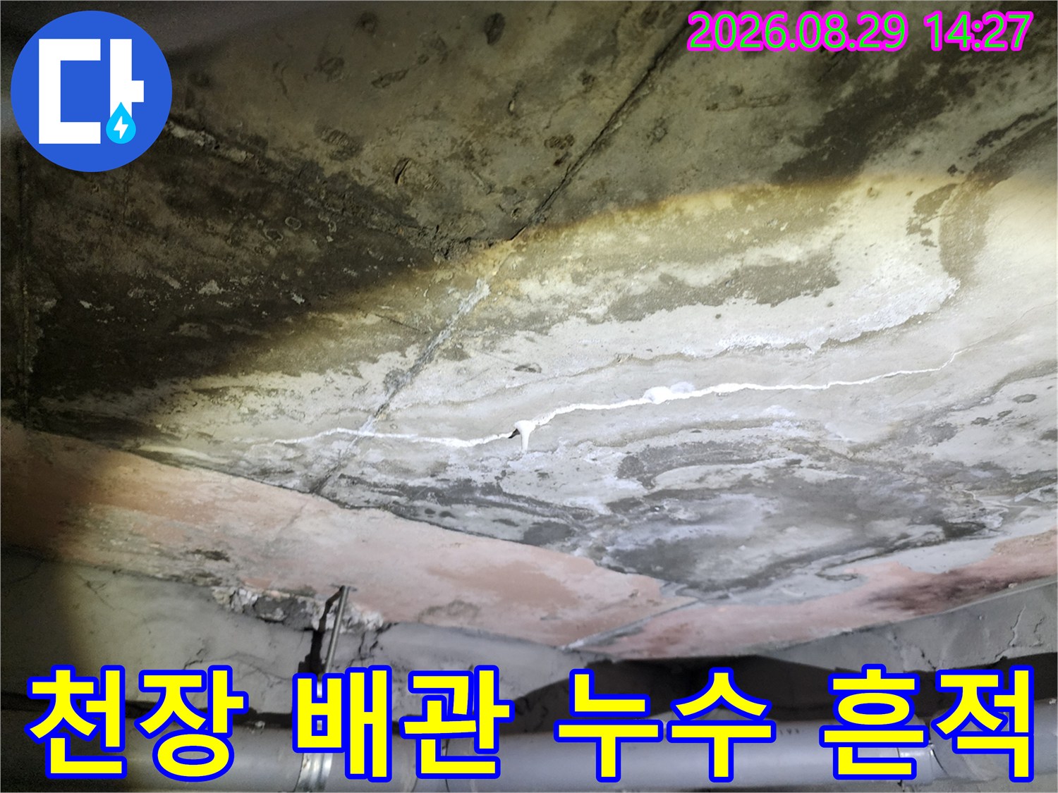 상현동 현장-배관 주변 콘크리트 슬라브의 하얀 백태와 습기 얼룩