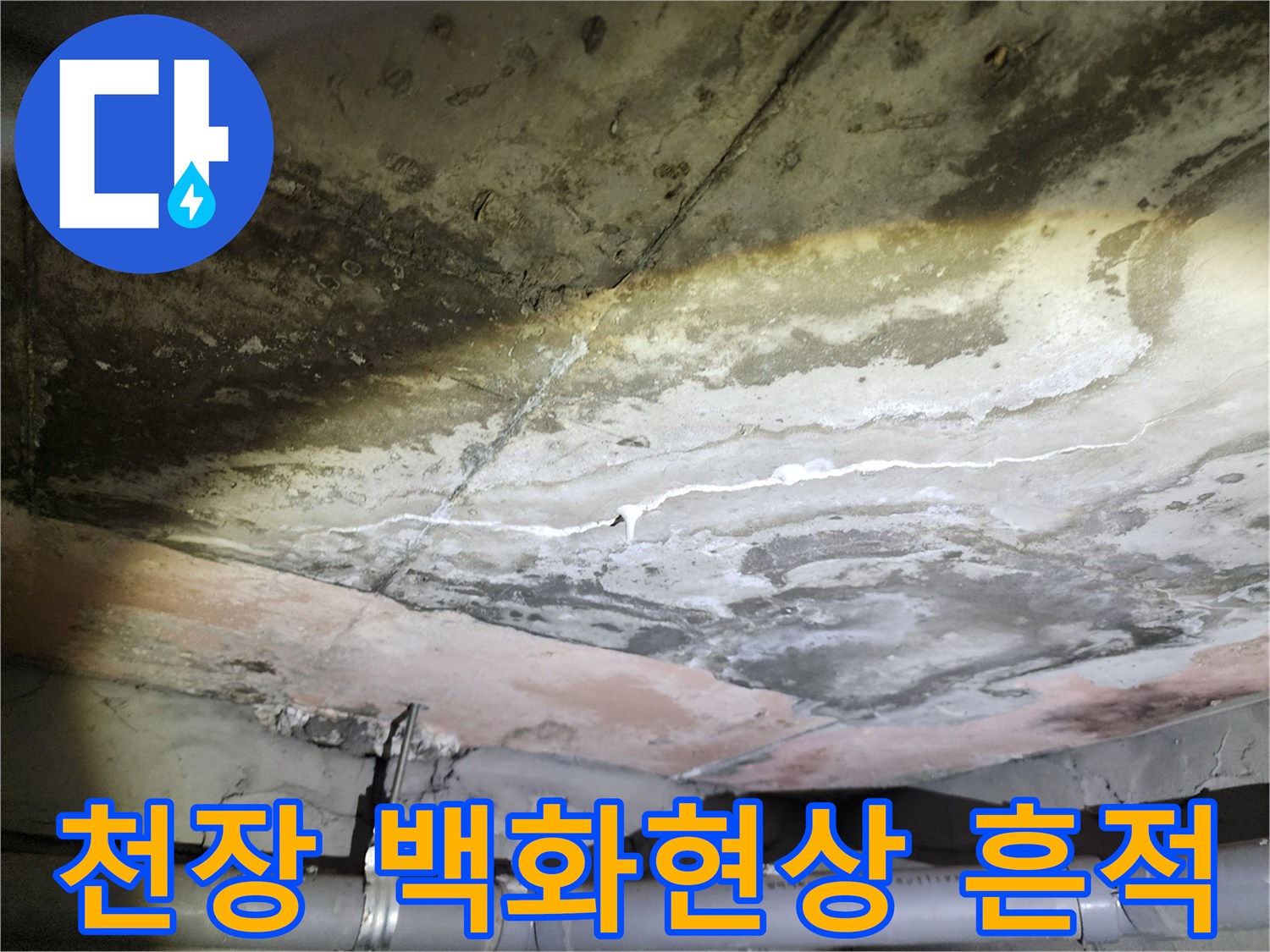 용인 수지구 아파트-화장실 천장 콘크리트 슬래브의 백화 현상과 습기 흔적 사진