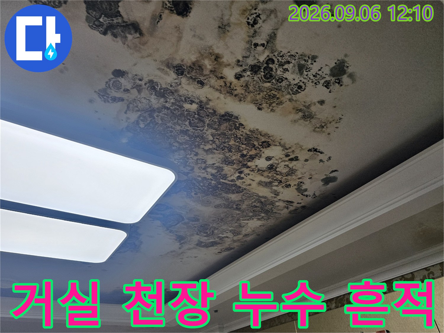 누수로 인해 변색되고 곰팡이가 발생한 거실 천장 모습