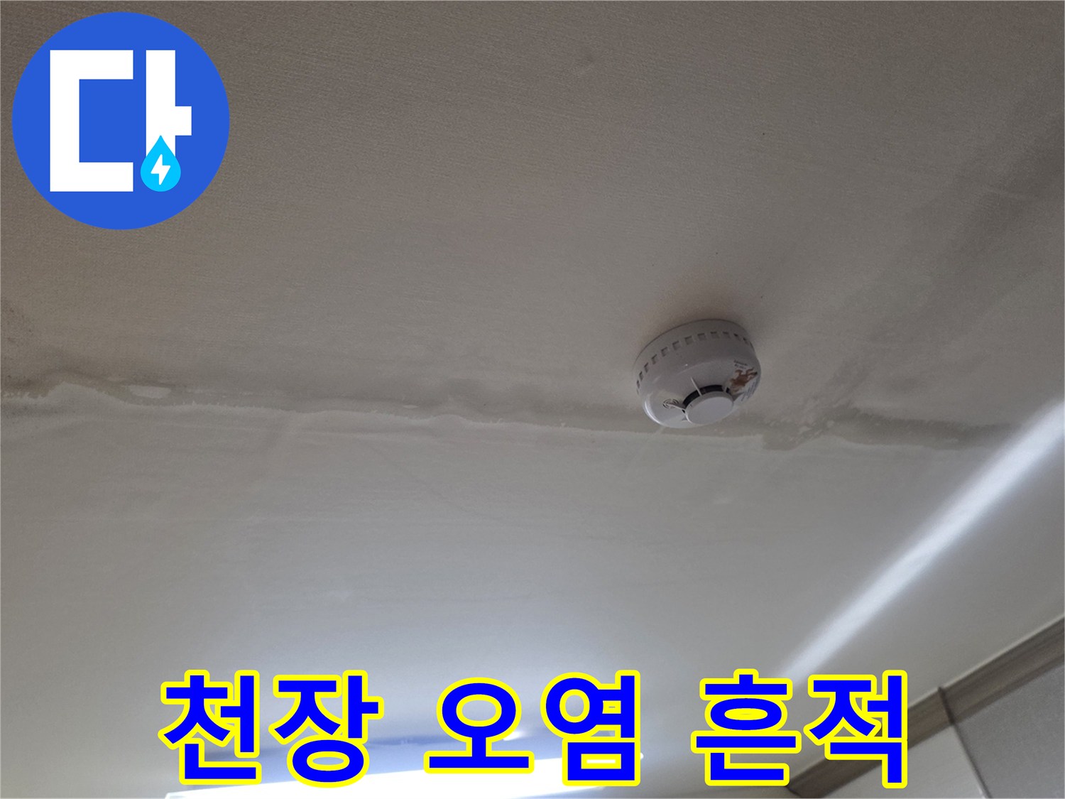 천장 가장자리를 따라 길게 번진 습기 및 얼룩
