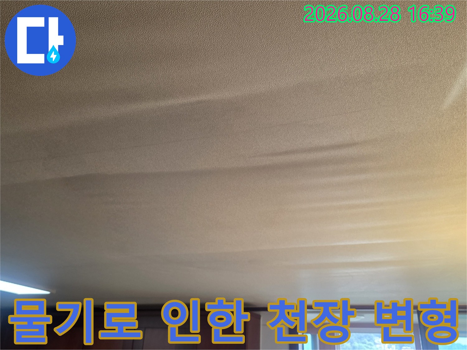 천장 벽지가 물을 머금어 불룩하게 솟아오른 현장 사진입니다.