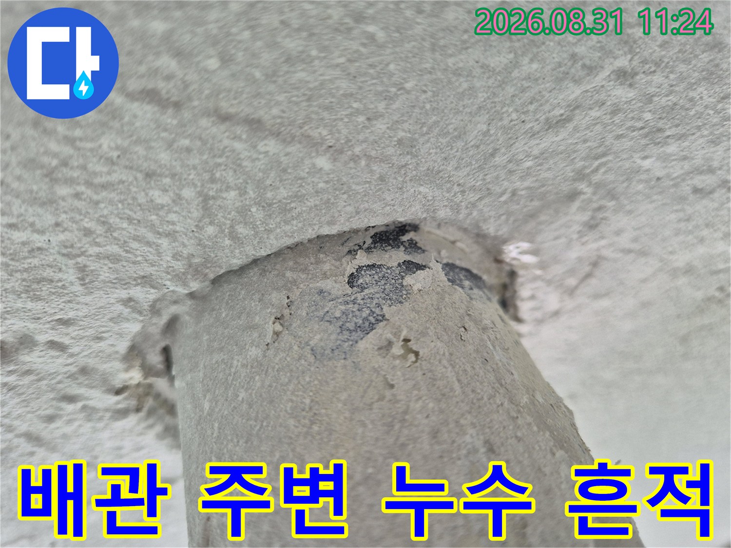 천장 배수관을 따라 발생한-검은색 누수 얼룩과 틈새를 상세히 보여줍니다.