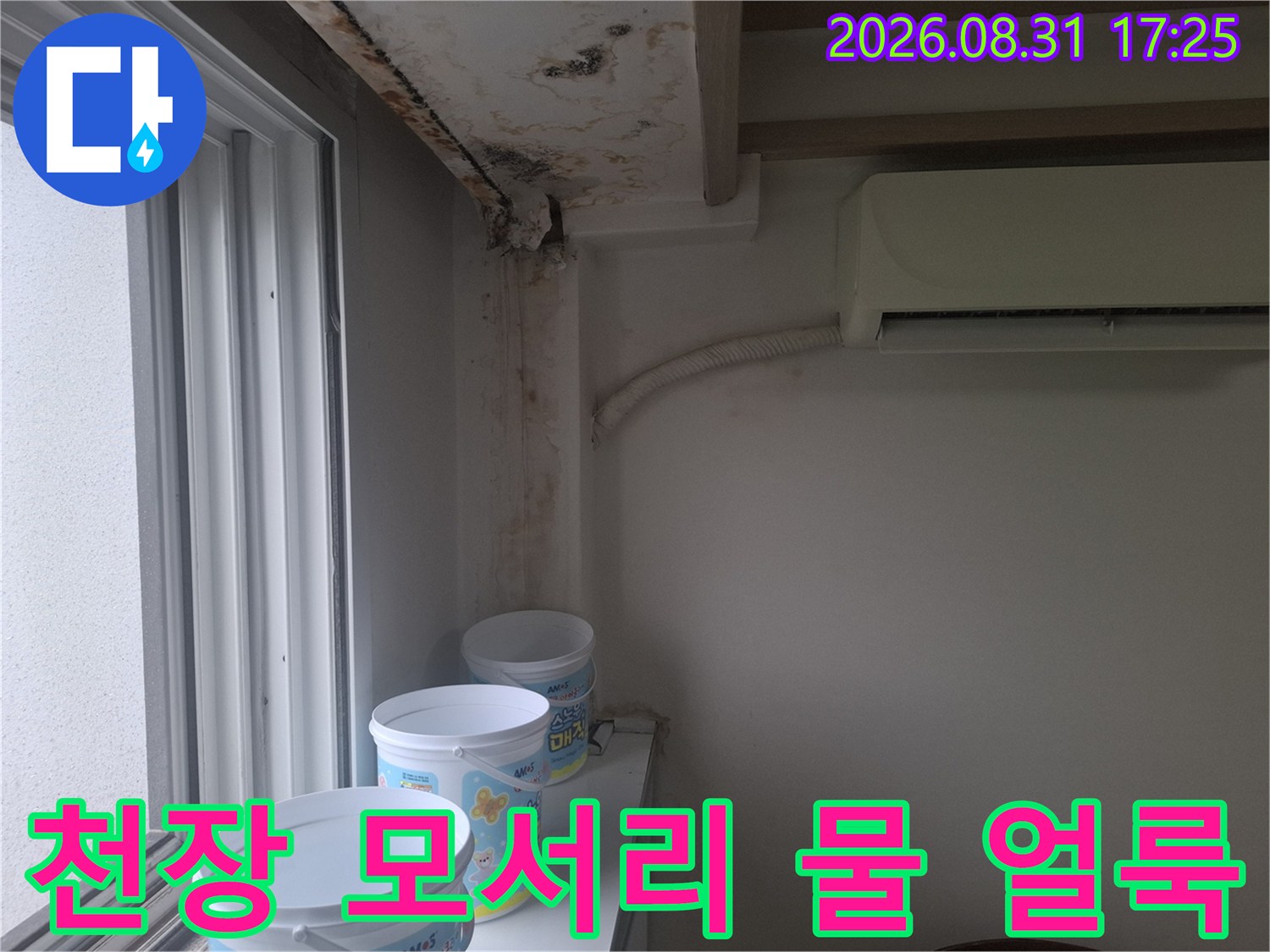 창문 위 천장 모서리에 발생한 곰팡이와 누수 흔적 상세 사진