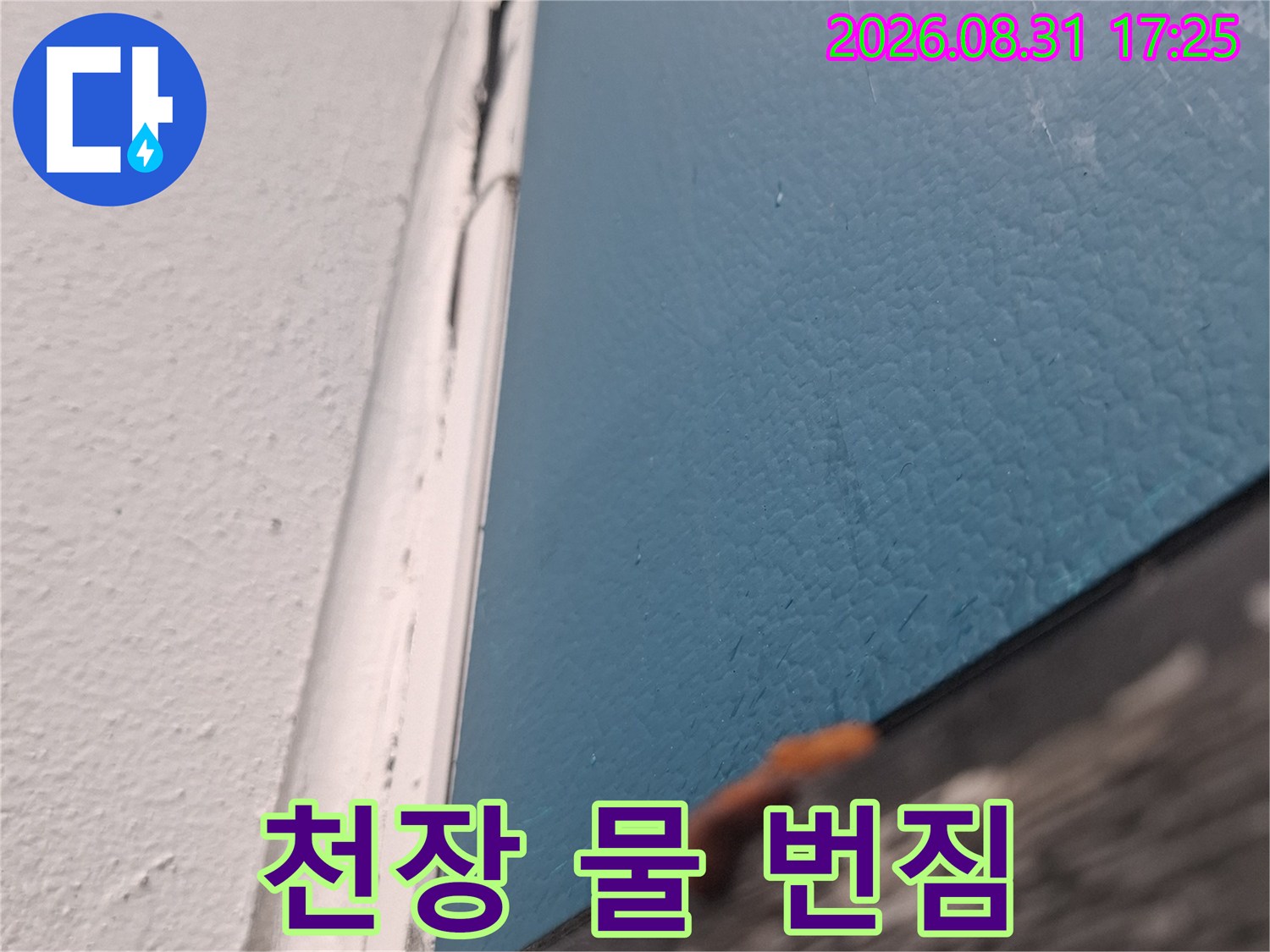푸른색으로 변한 천장 벽지의 물 번짐 현상 상세 촬영