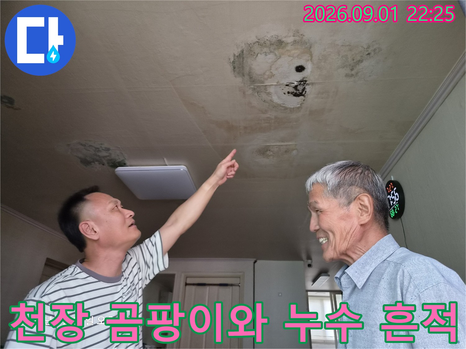 철원군 서면 아랫집 거실 천장에 발생한 곰팡이와 습기 얼룩 상태