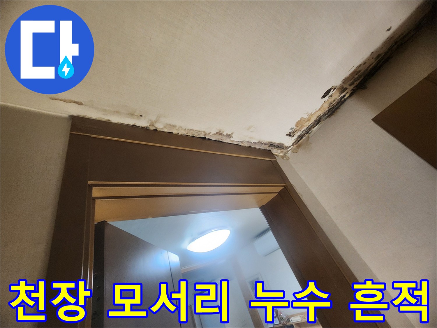 누수로 인해 곰팡이가 번진 천장 구석 부위