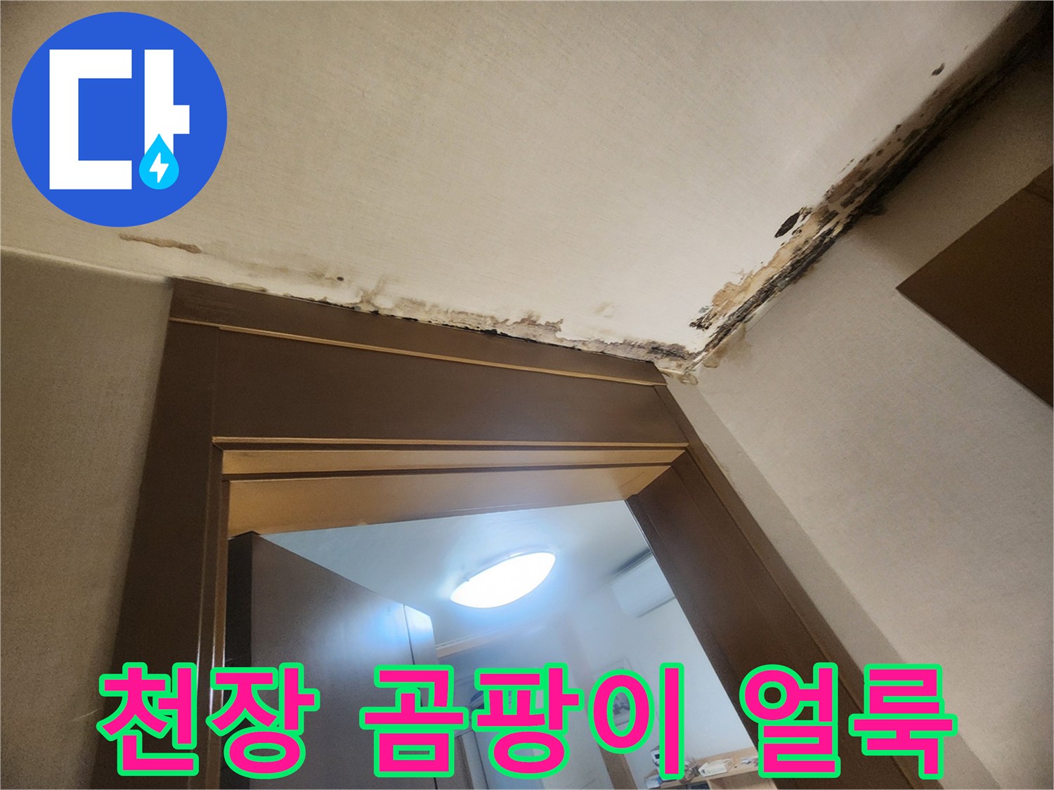 성내동 아파트-천장 테두리 곰팡이 및 벽지 변색 상태