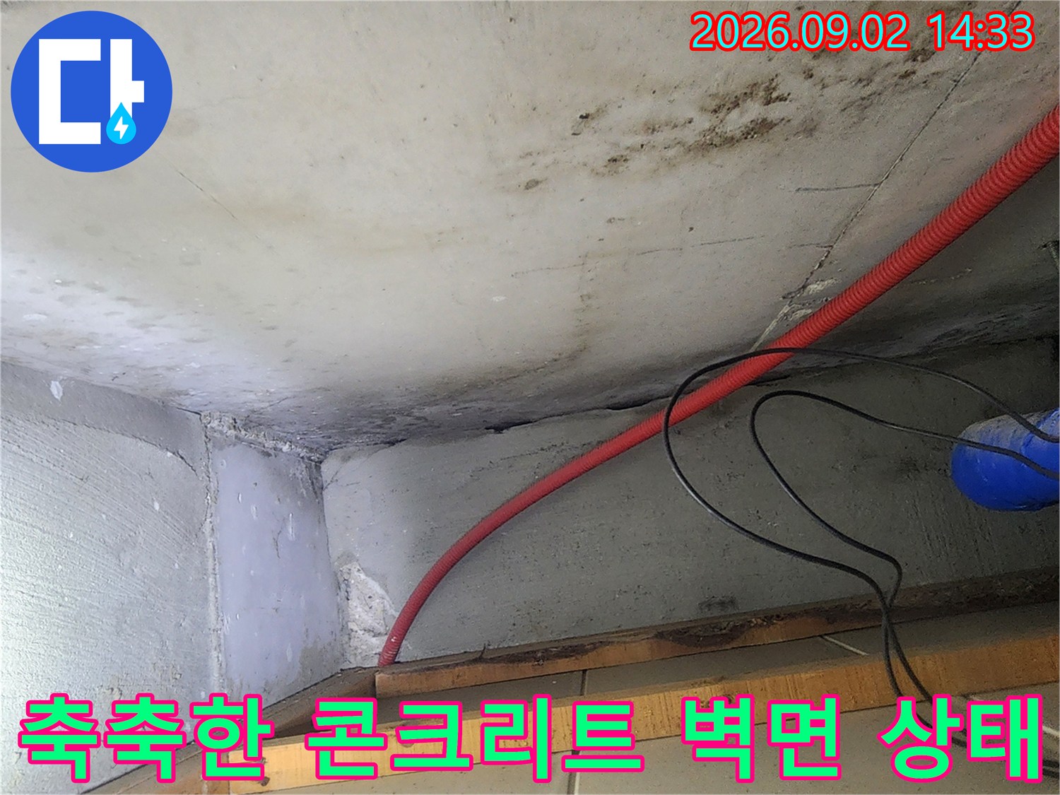 습기로 인해 곰팡이가 발생한 성내동 건물의 천장 및 벽체 부위