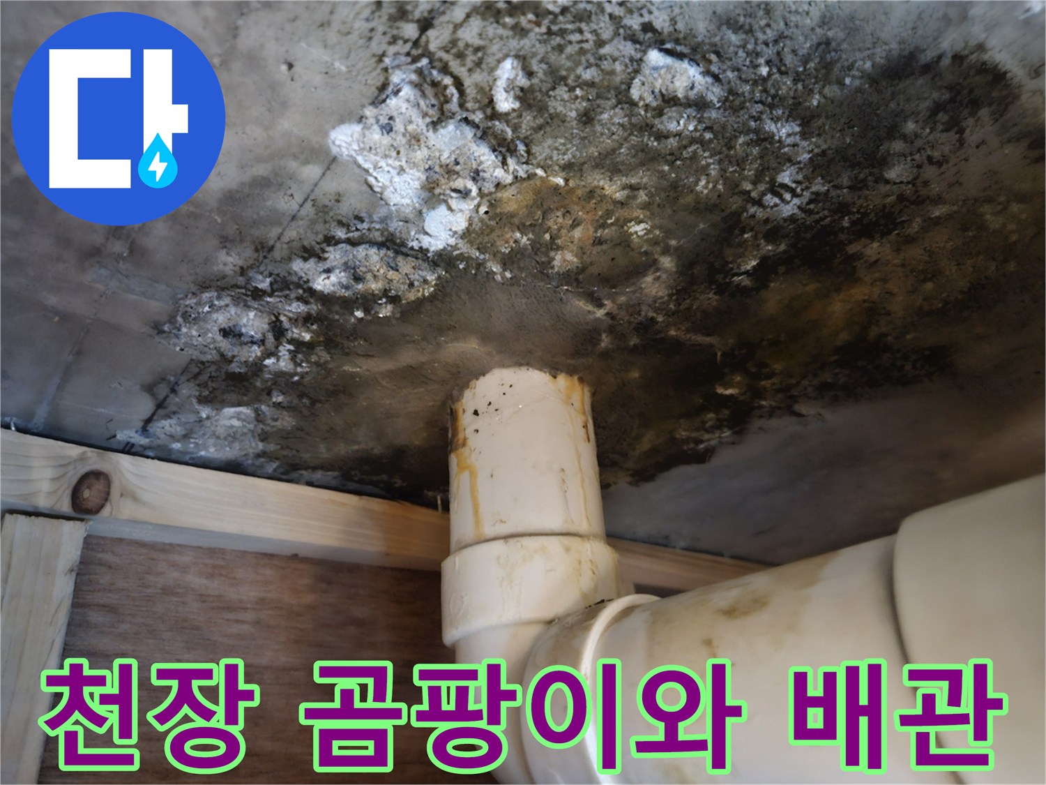 배관 주변-콘크리트-슬래브-곰팡이-오염 상태