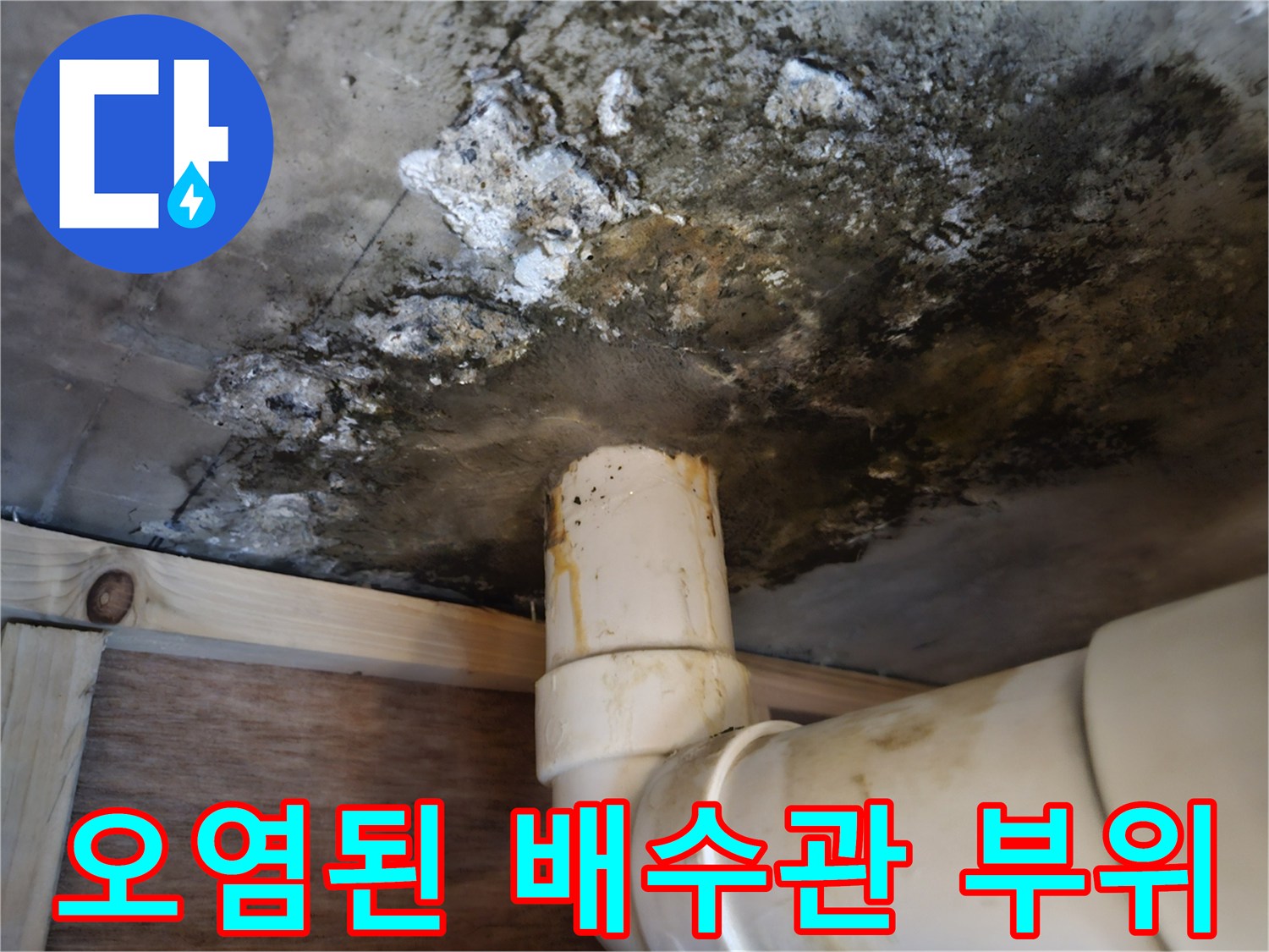 배수관-연결-부위의-심각한-콘크리트-변색-및-곰팡이