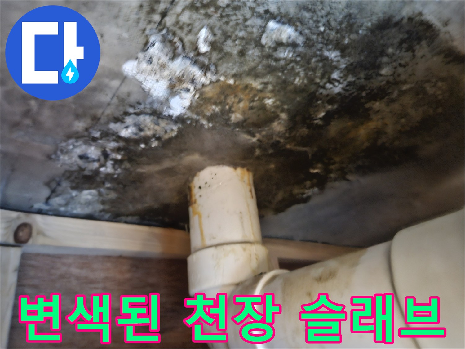 배수관-주변-콘크리트-슬래브-곰팡이-및-습기-침투-현상