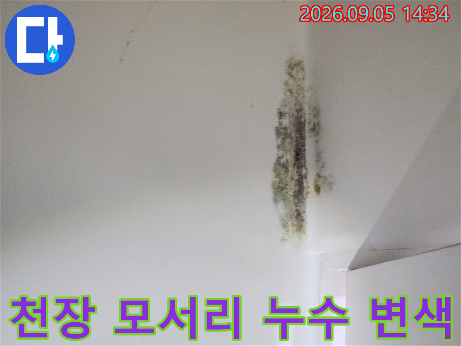 곰팡이가 발생한 천장과 벽면의 경계 부분