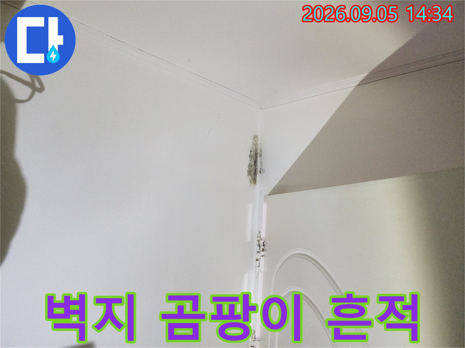 신사동 누수 지점-문틀 상단 벽면의 젖은 자국과 곰팡이