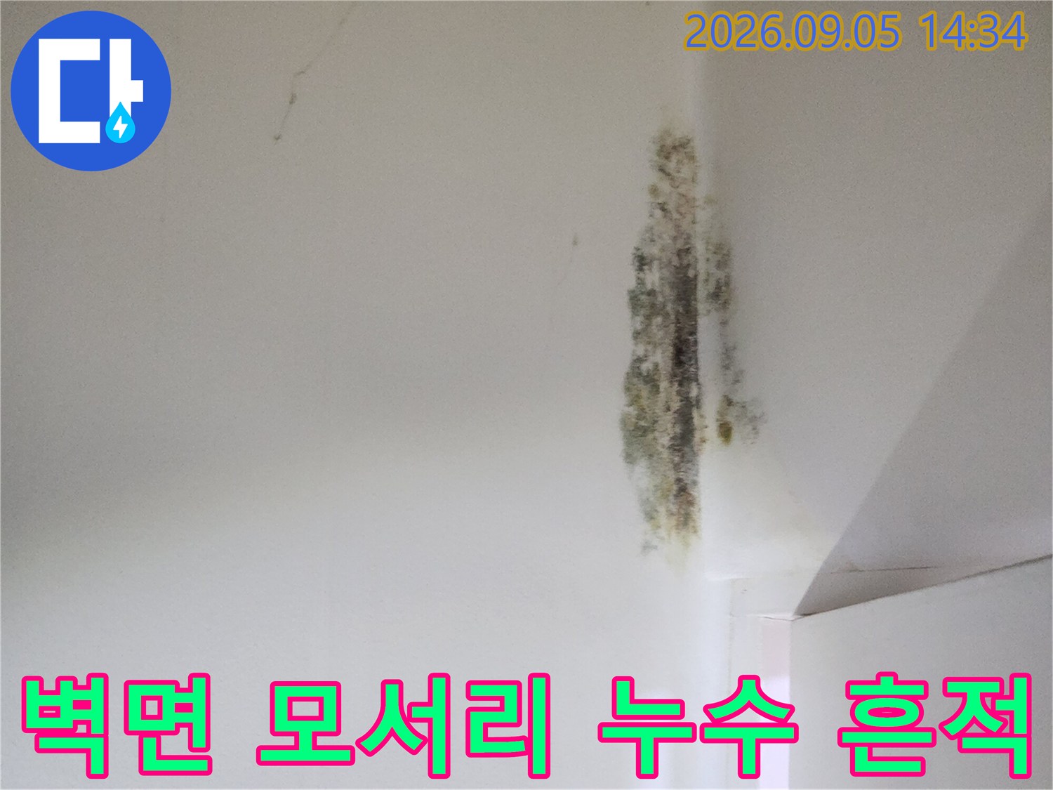신사동 누수 현장-벽면 모서리를 따라 진행된 곰팡이와 변색
