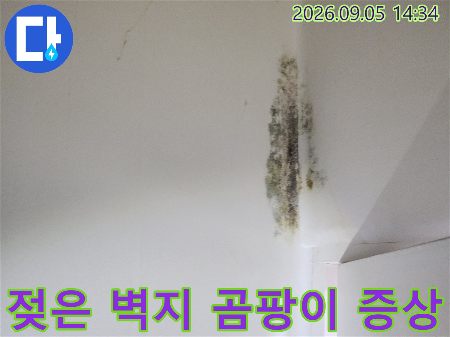 신사동 현장 사진-누수로 인해 습기가 머문 벽면의 곰팡이 상태