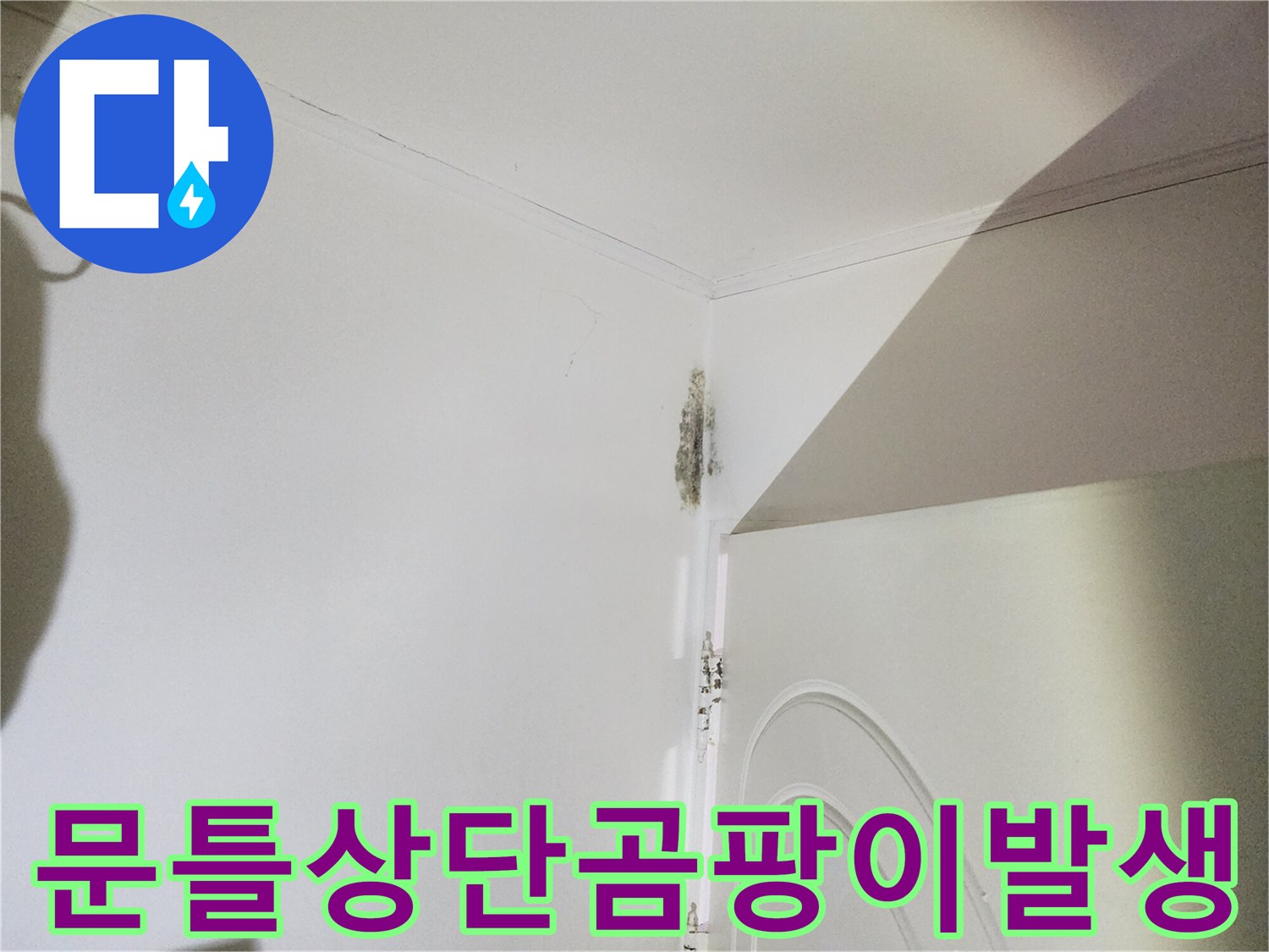 화장실 문틀 상부-습기로 인한 곰팡이와 페인트 부식 상태