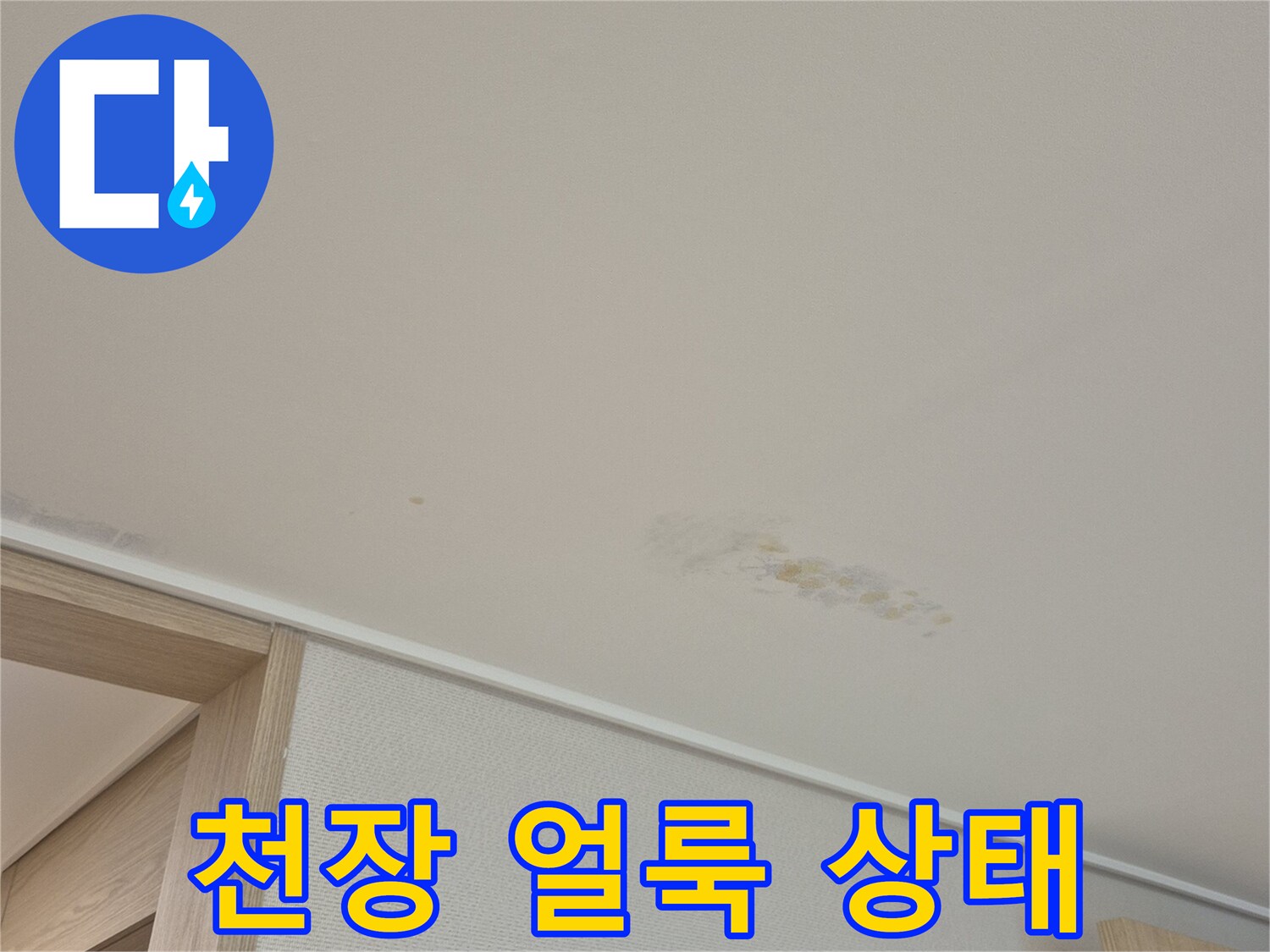 용인 수지구 동천동 현장-천장 벽지의 누수 흔적 및 변색 부위