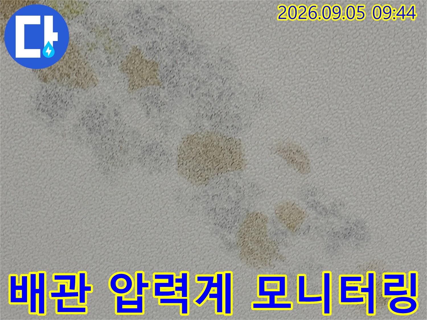 천장 배관에 설치된 게이지를 통해 배관 내부의 압력 상태를 실시간으로 확인합니다.