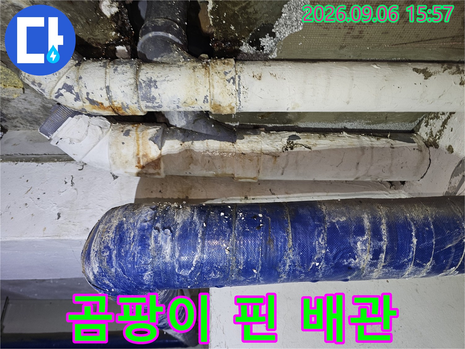 물자국과 곰팡이가 심한 천장 배관의 상세 모습