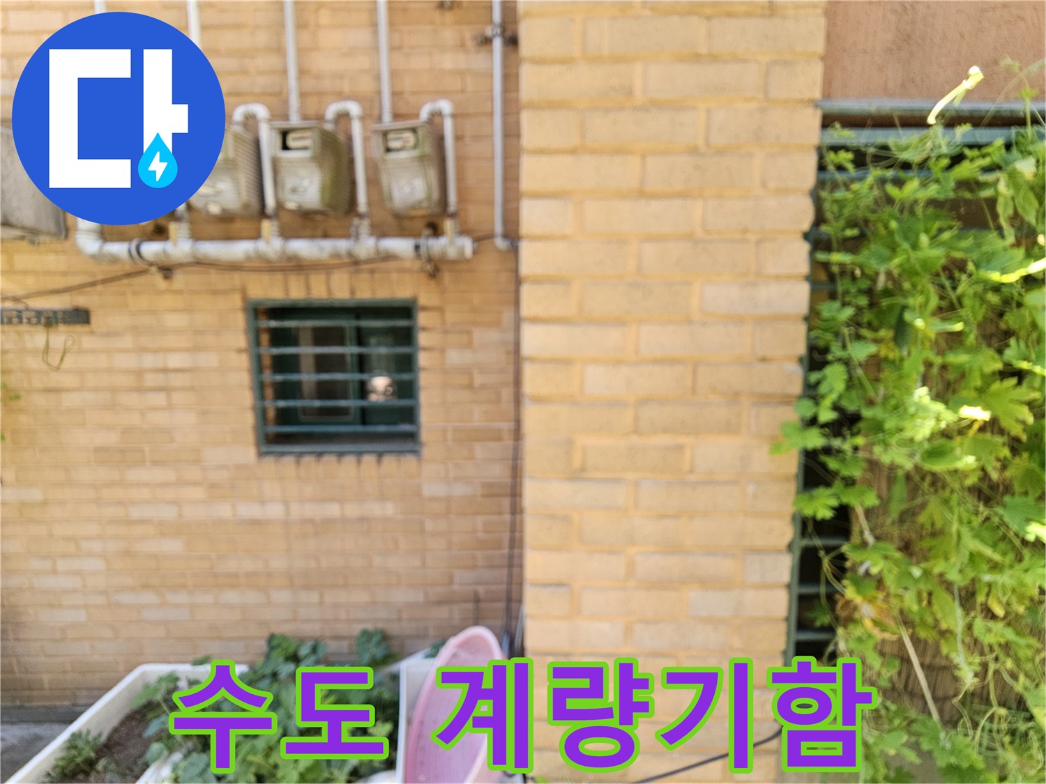 벽면에 설치된 여러 개의 수도 계량기와 외부 노출 배관의 모습입니다.
