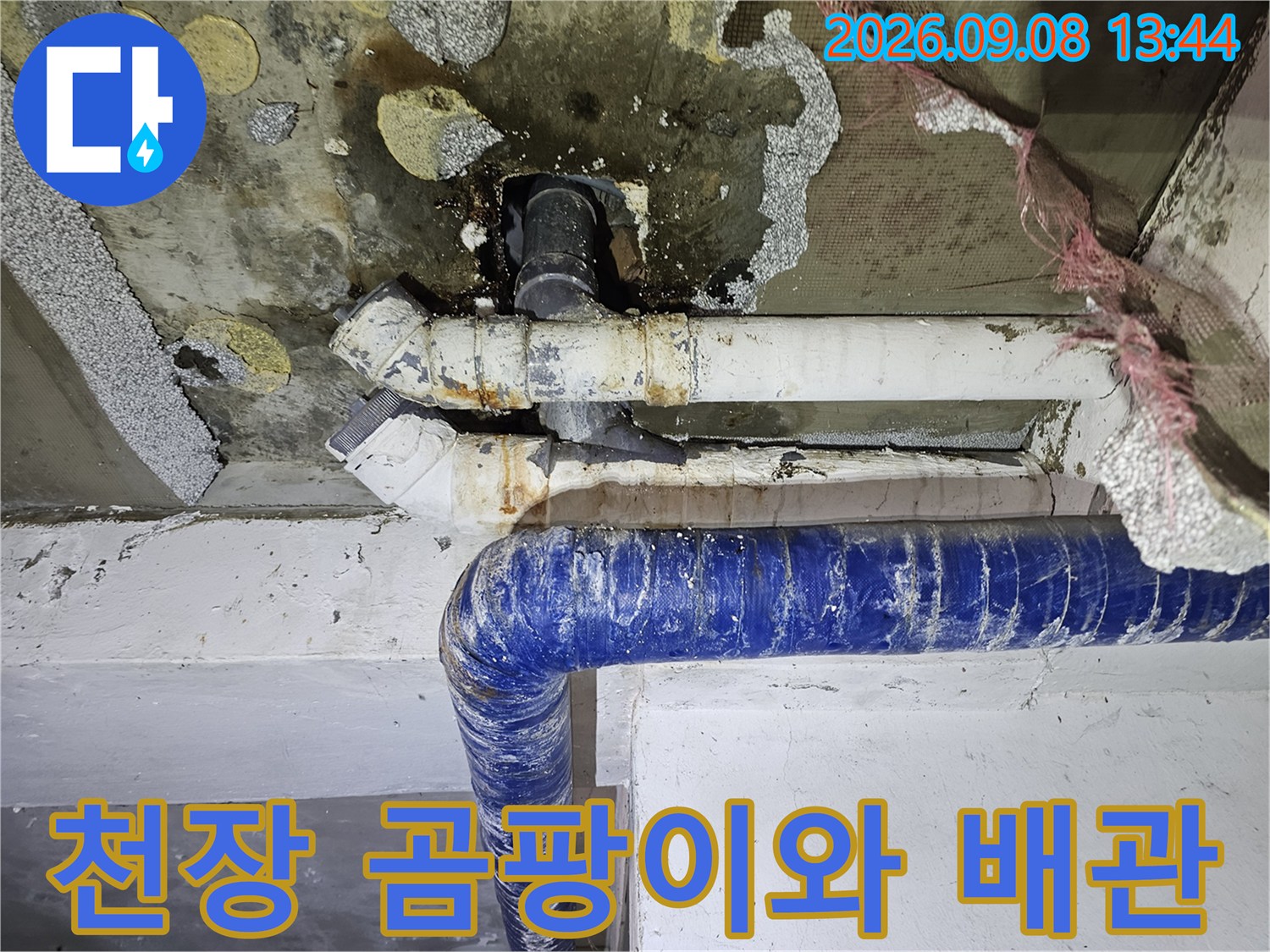 습기로 인해 곰팡이가 발생한 천장 배관 주변 모습