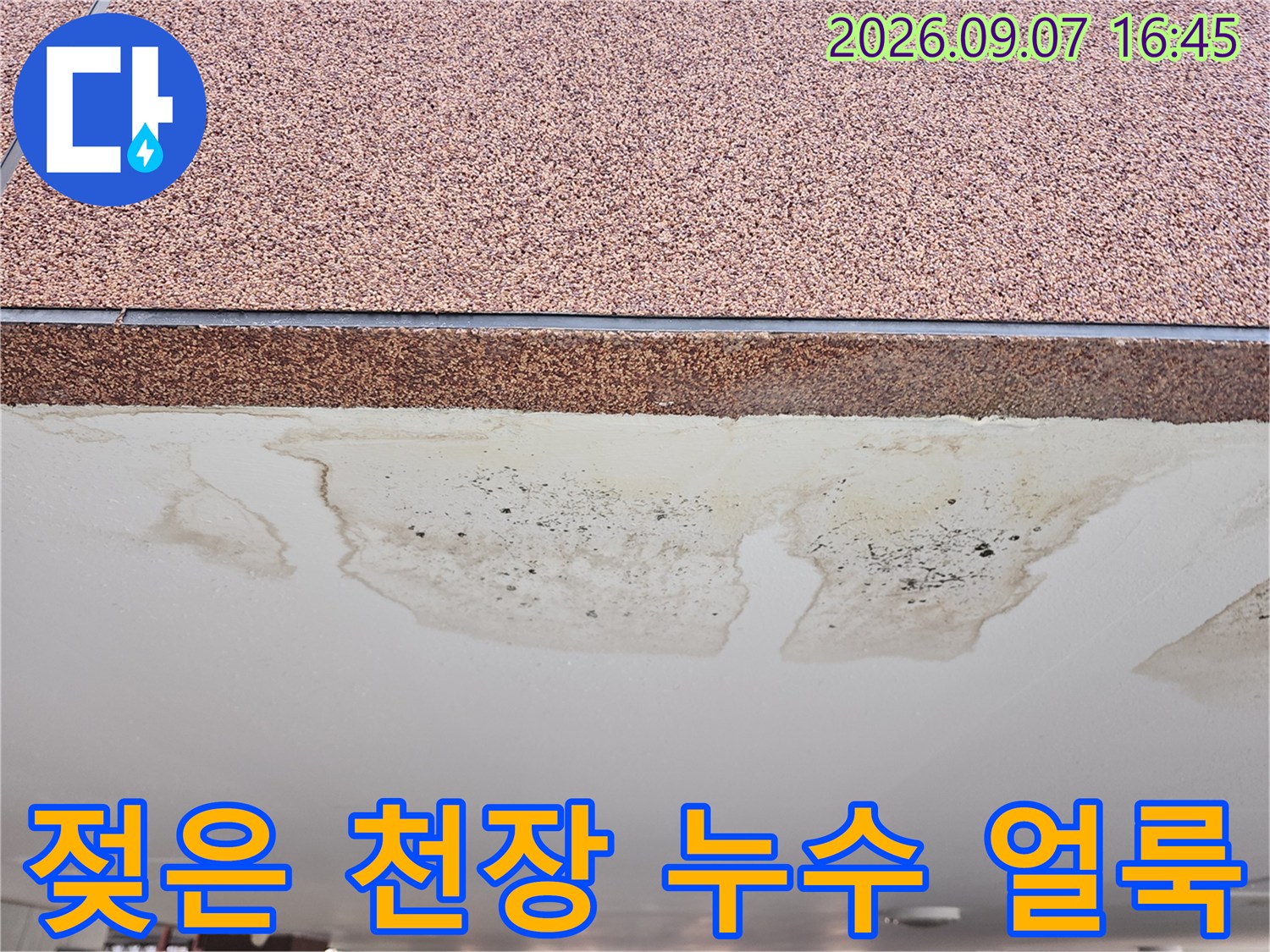 넓게 번진 물자국이 보이는 주차장 천장의 누수 부위