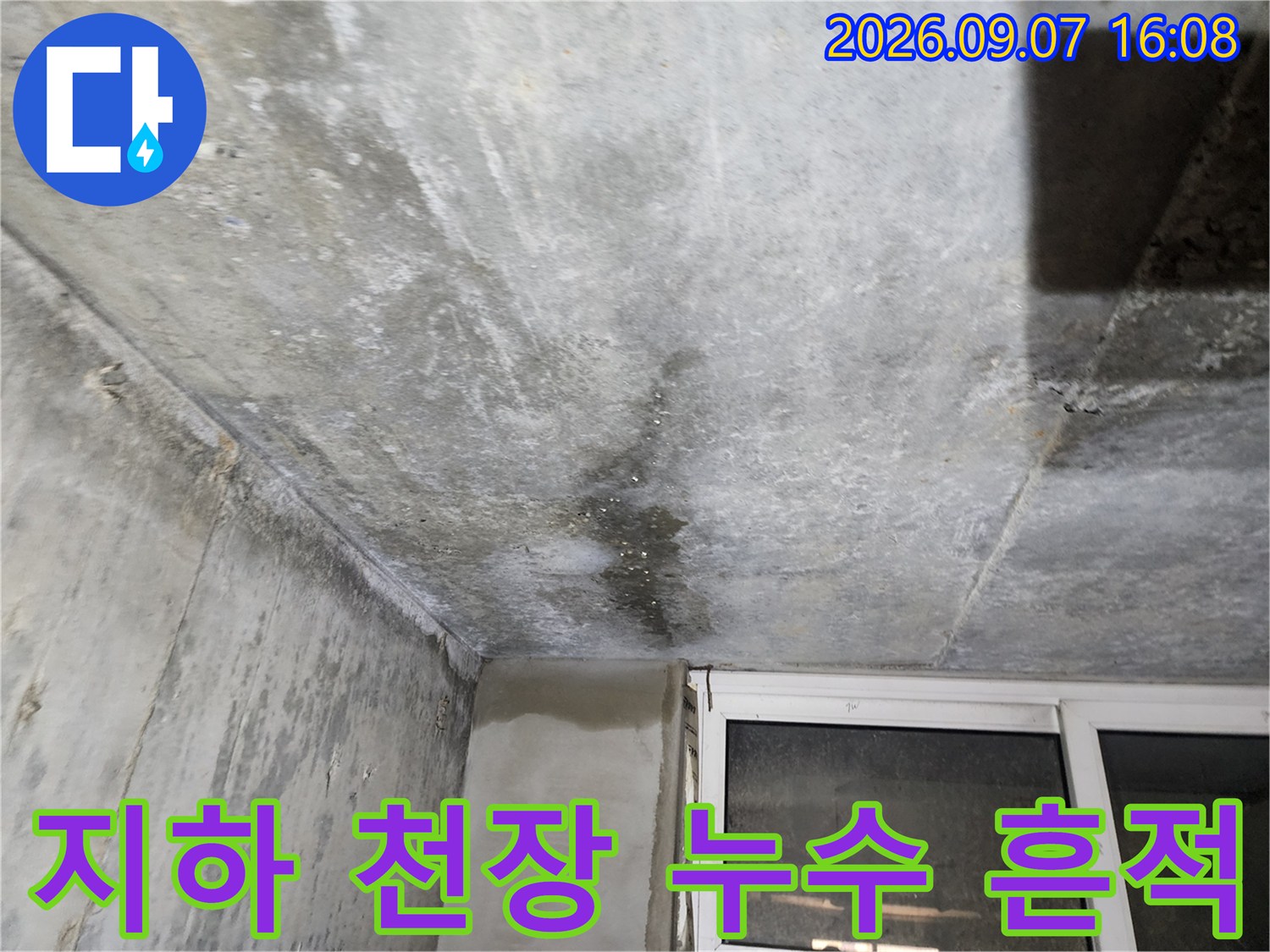 연천 전곡읍 빌라 지하층-콘크리트 천장에 발생한 누수 얼룩과 습기 흔적