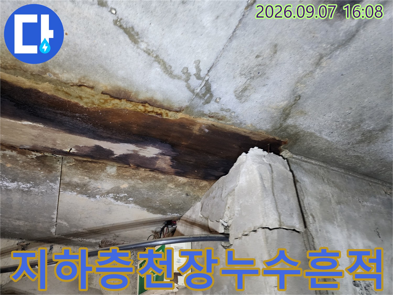 연천 전곡읍-지하층 천장 슬라브에 발생한 심한 누수 얼룩과 오염 상태