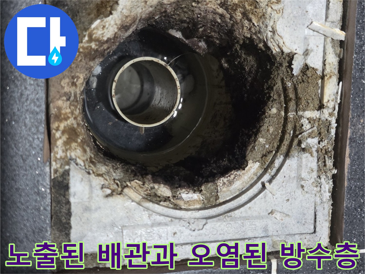 욕실 배수구 하부의 오염된 흙과 부식된 방수재 상태