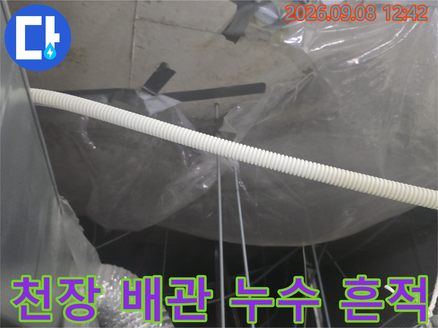 비닐 보양된 천장 내부의 배관과 습기가 남은 슬라브를 보여주는 사진입니다.
