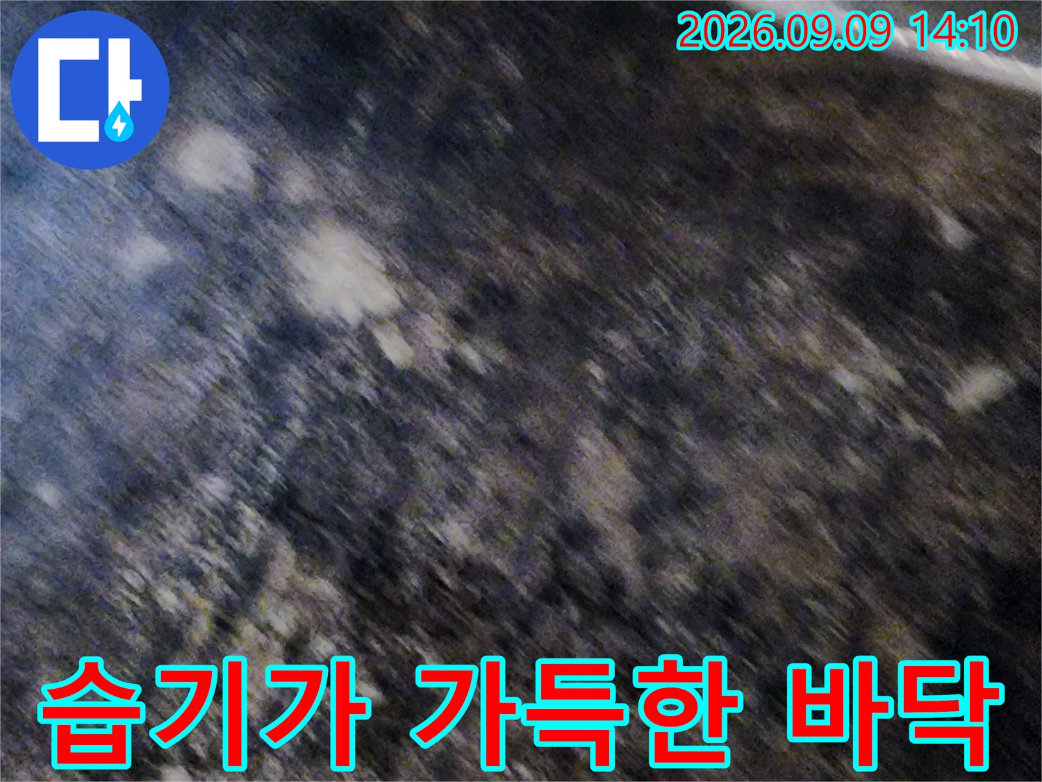 곰팡이와 습기로 오염된 지하실 내부 전경