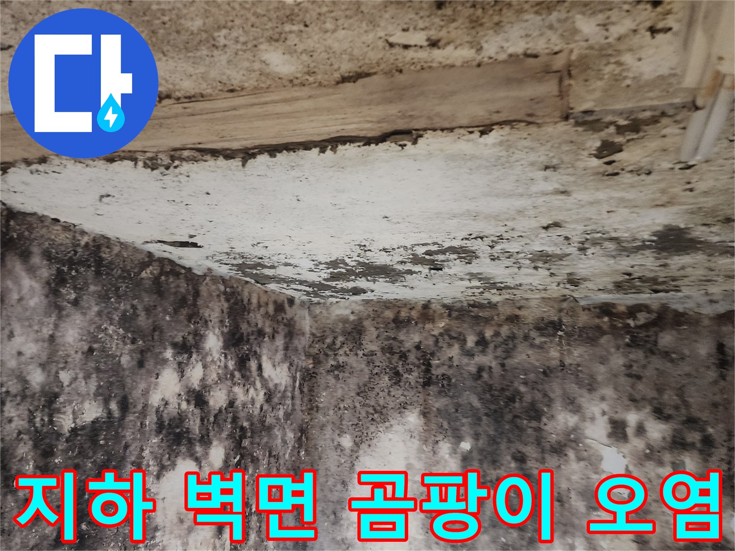 습기가 가득한 지하실의 곰팡이가 발생한 벽면과 바닥 부위