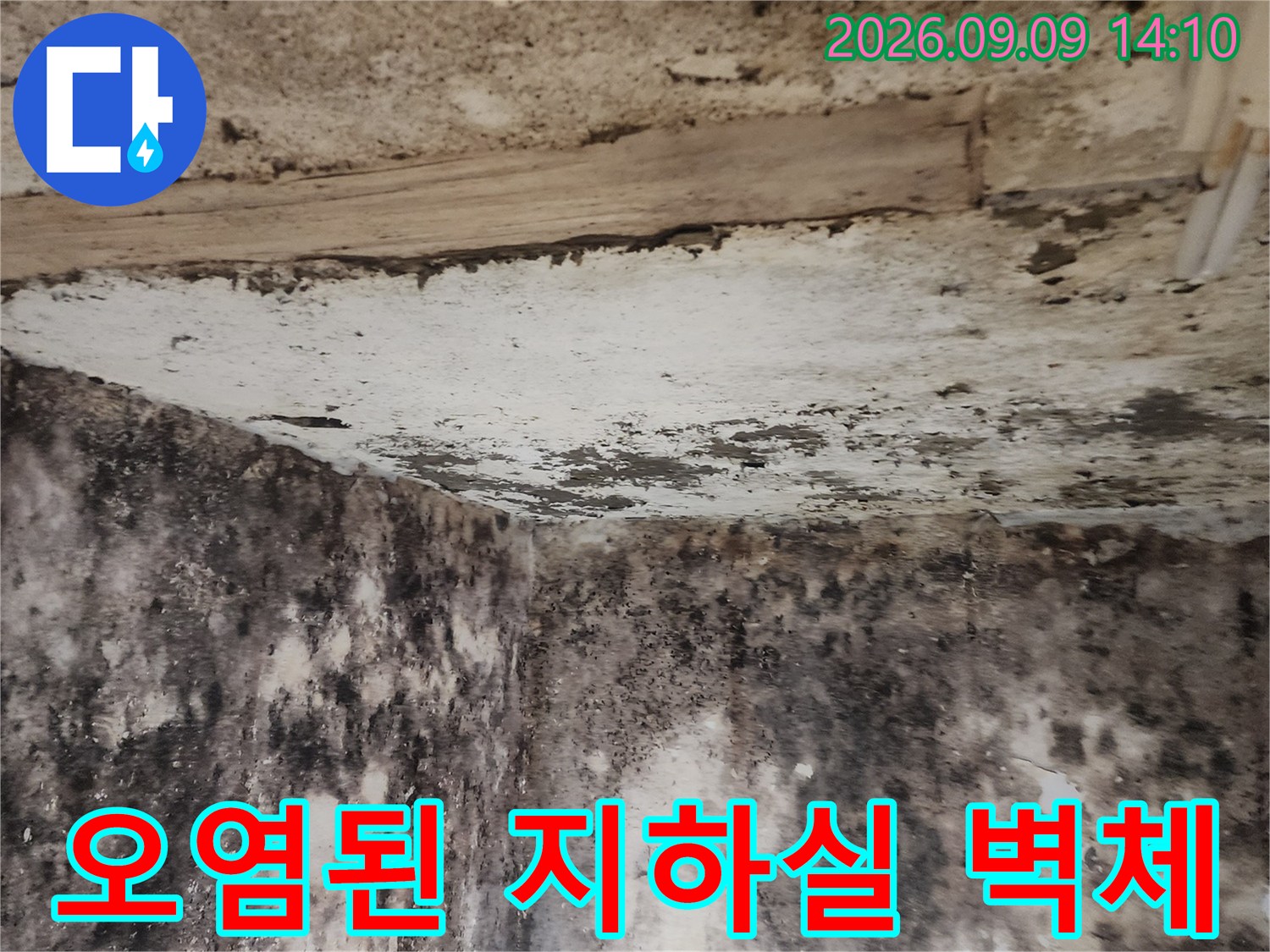 심하게 부식되고 곰팡이가 발생한 지하 벽면 내부