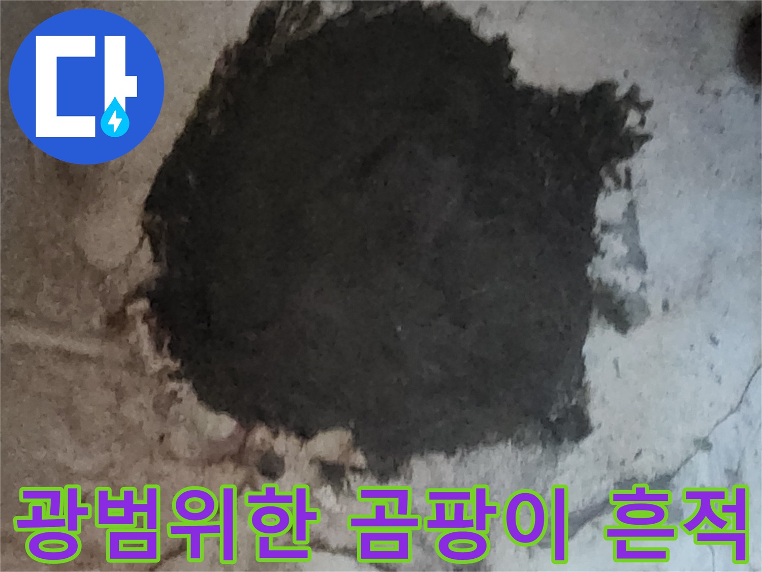 지하실 벽면 마감재에 나타난 광범위한 곰팡이와 습기 오염