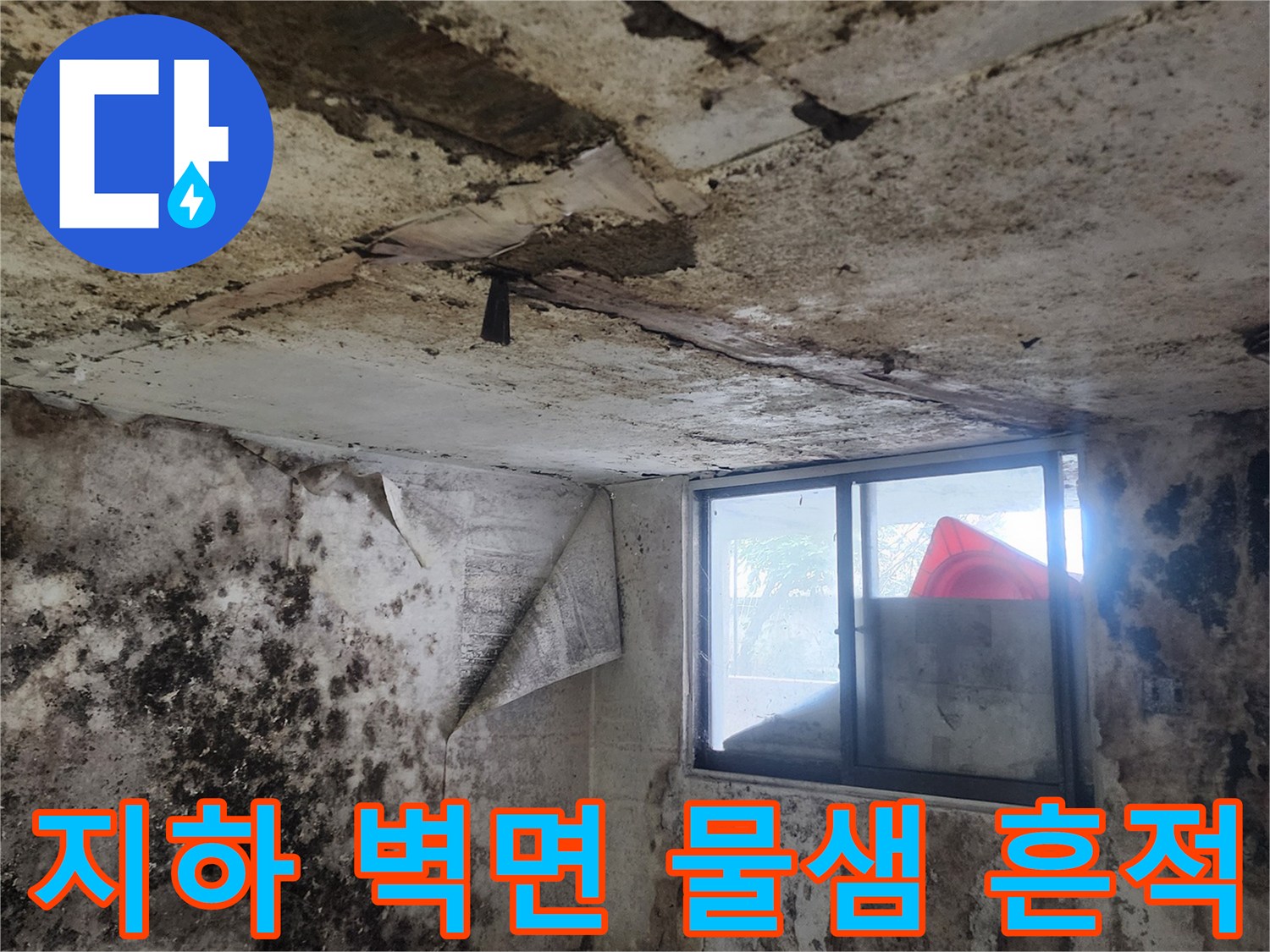 축축하게 젖은 지하실 내부-곰팡이와 얼룩이 가득한 벽면 상태