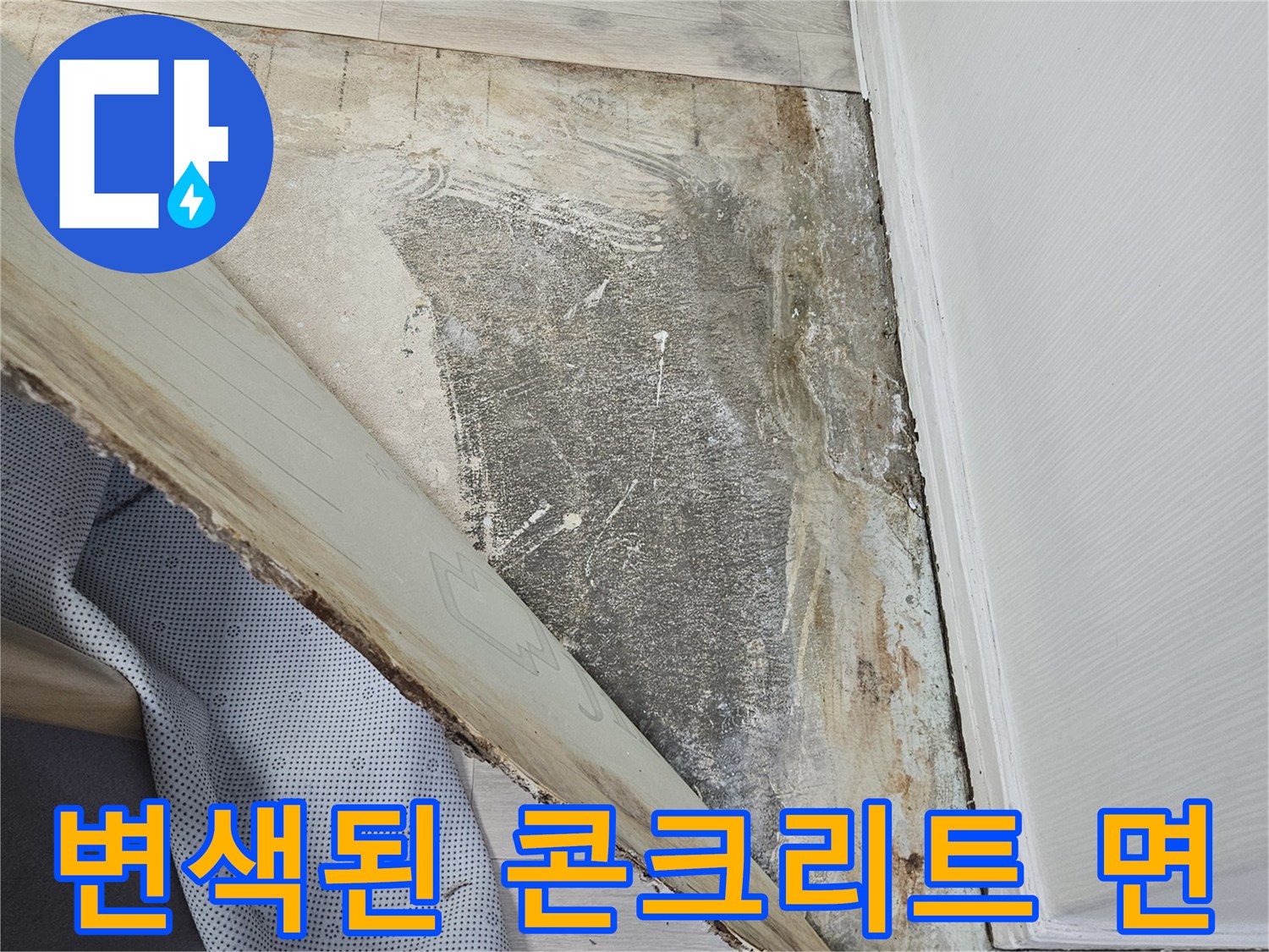 누수로 인해 젖은-벽체 하단부-상태