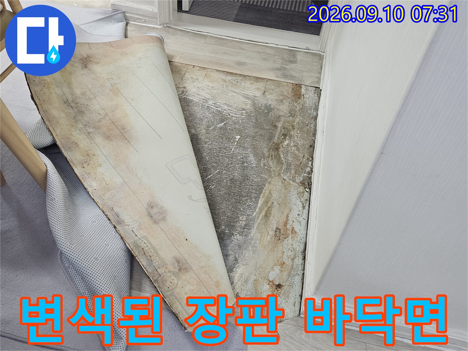 용인 죽전동 현장-젖어서 변색된 장판과 벽지 하단 모습