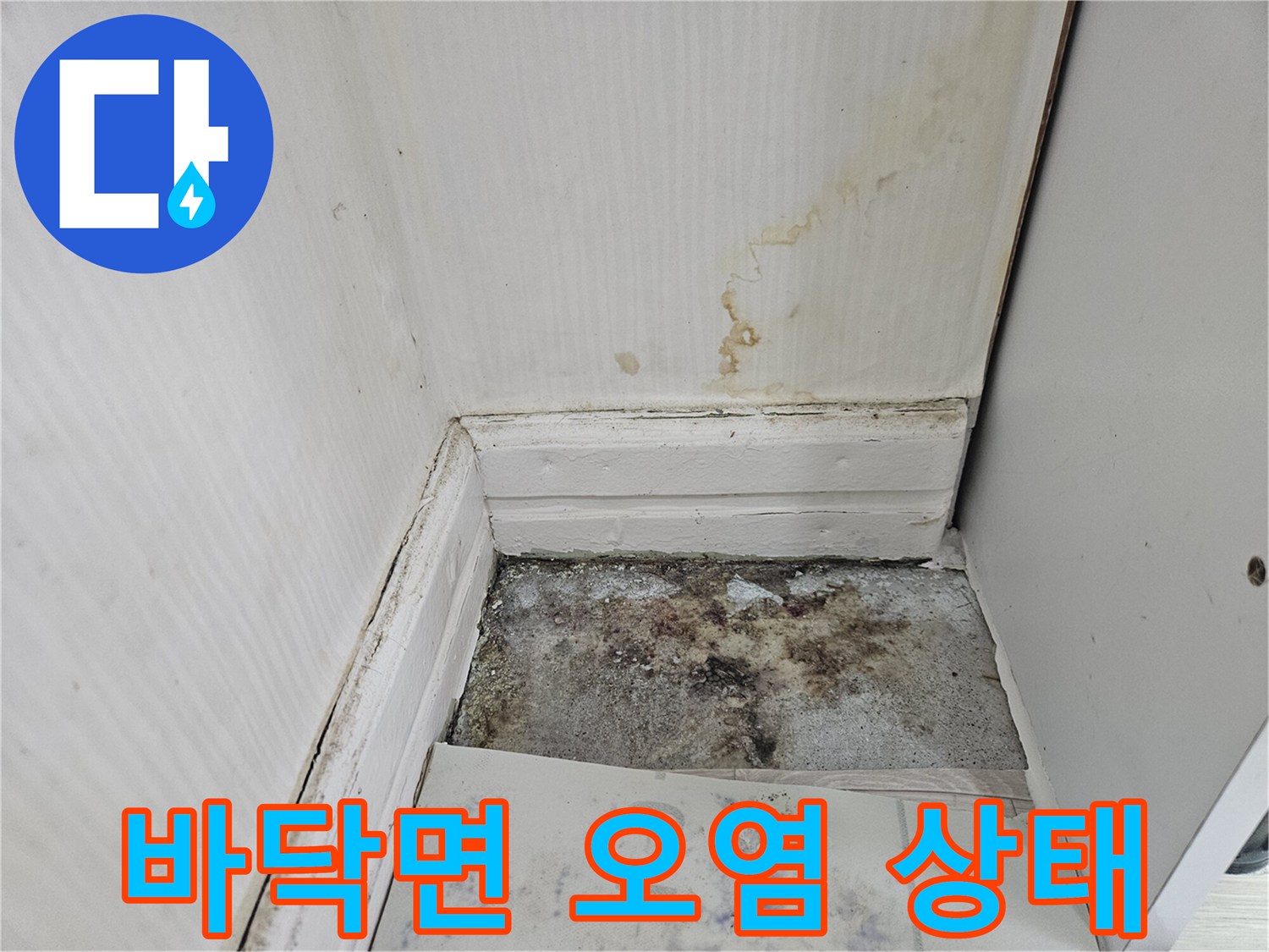 장판 아래-콘크리트 면의-심한 습기와 오염