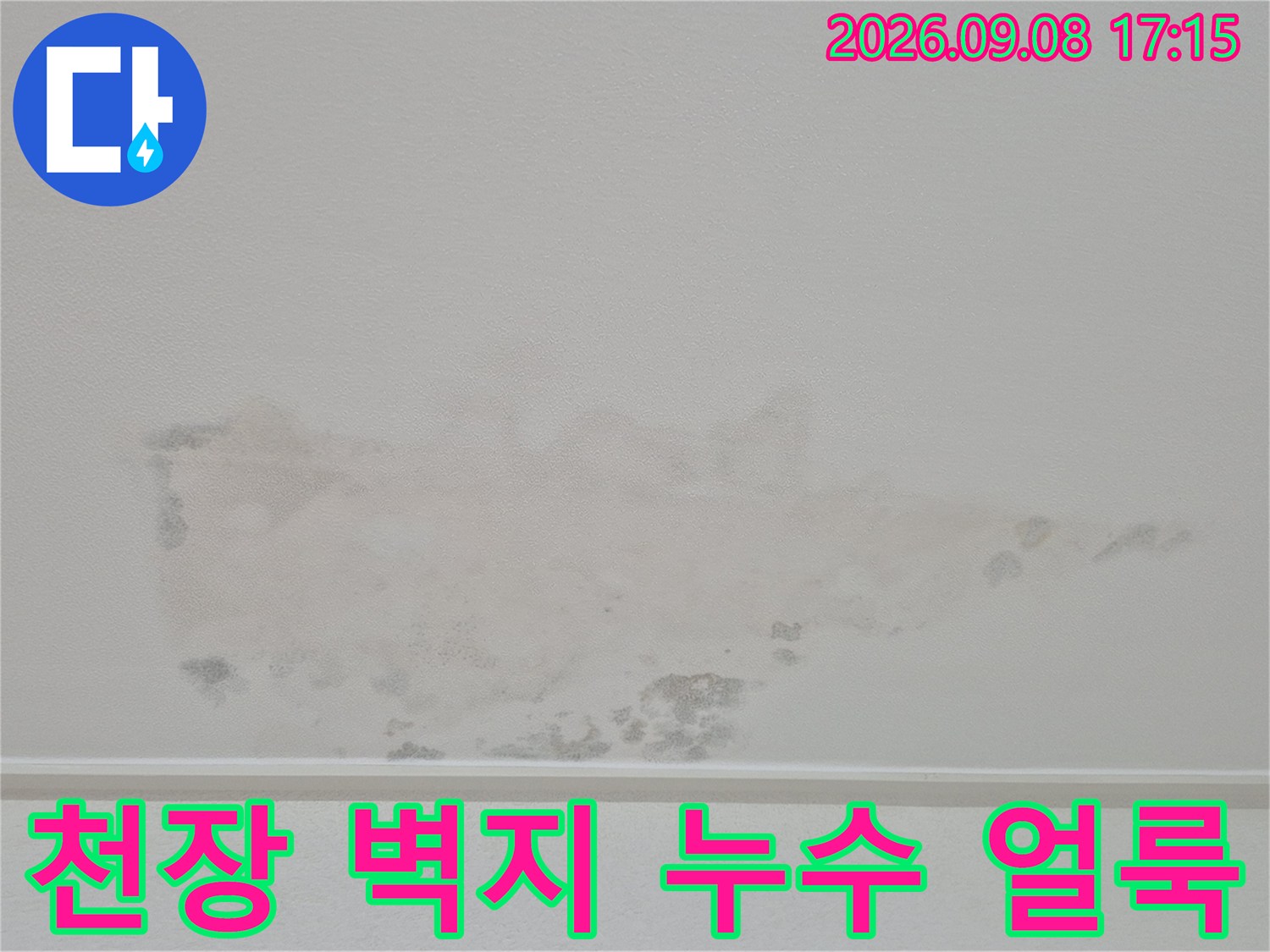수원 영통구 아파트 천장 벽지 누수 흔적과 곰팡이 발생 상태