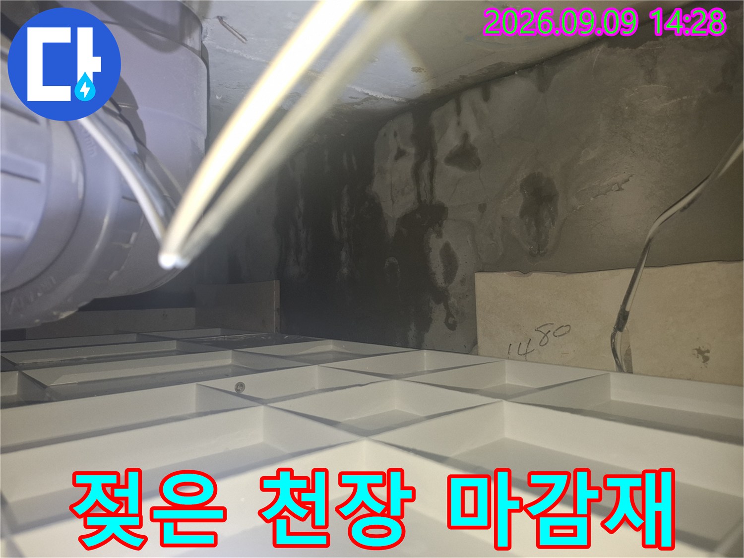 화장섭 천장 내부-배관 주변에 발생한 습기와 검은 얼룩