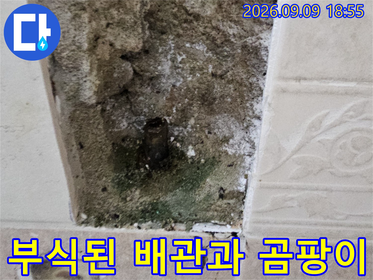 타일 안쪽 벽면의 부식된 배관과 습기로 인한 곰팡이 발생 모습