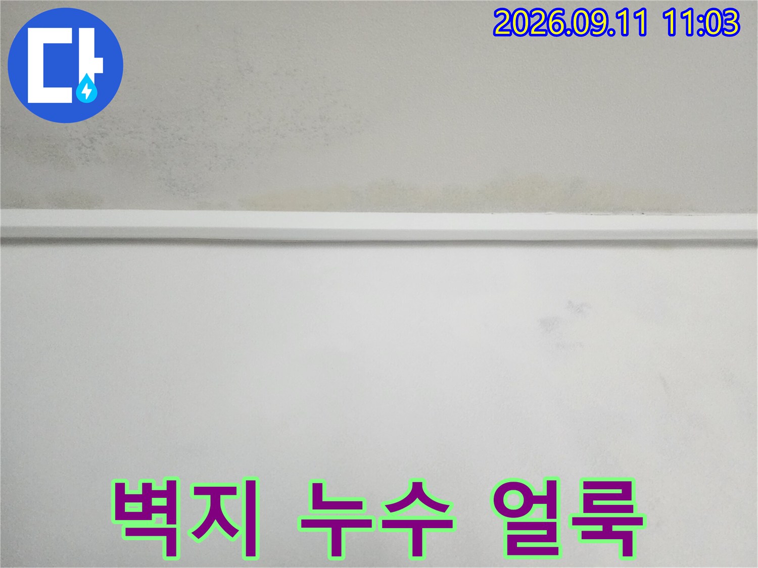 도화동 아파트 천장 벽지에 발생한 누수 흔적과 얼룩 상태