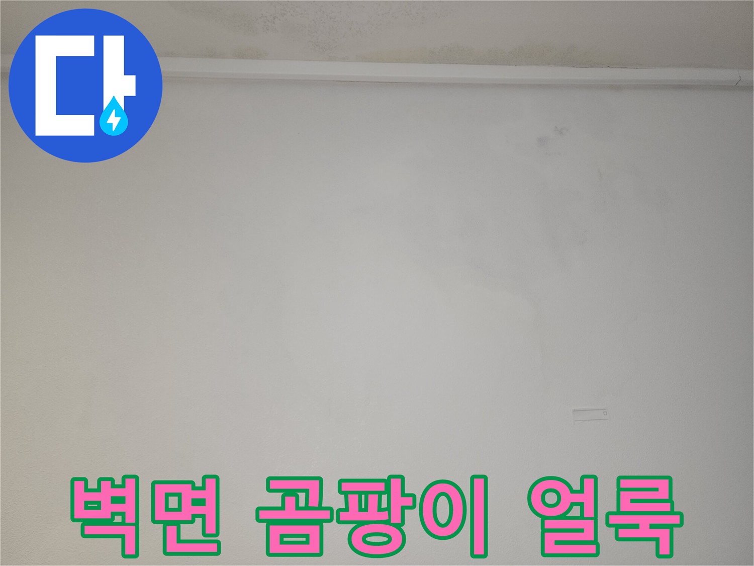 천장 몰딩 아래쪽으로 번진 습기 및 곰팡이 흔적