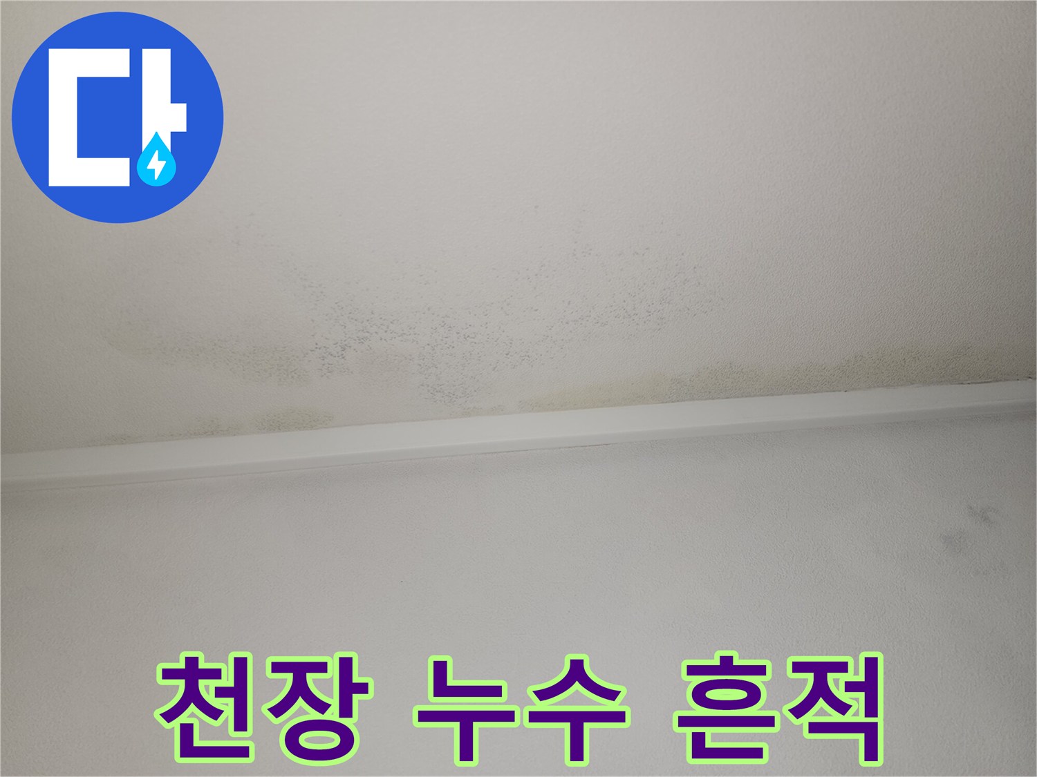 천장 벽면 전체에 넓게 퍼진 젖은 듯한 물자국과 얼룩