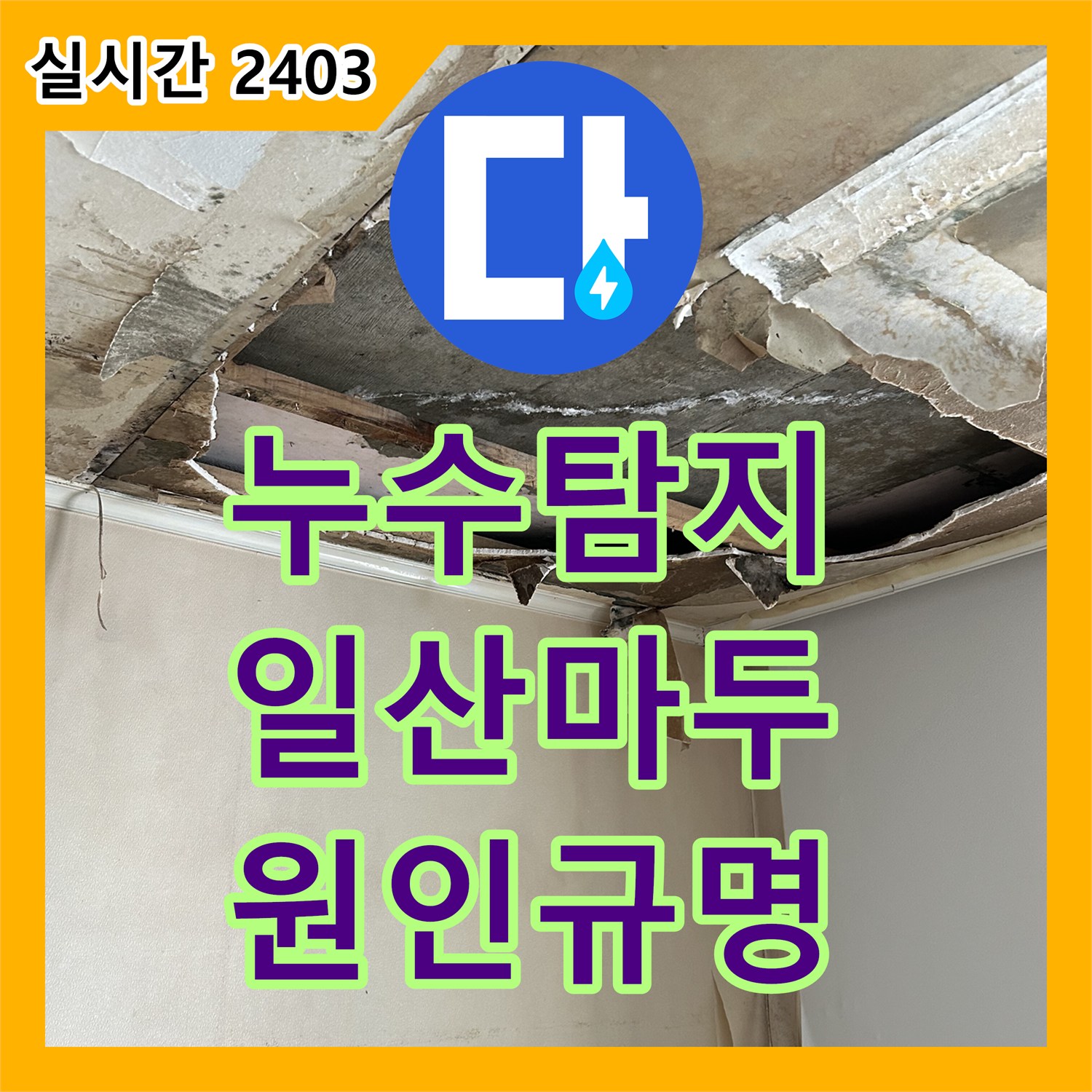 누수탐지 타 업체가 실패한 안방 천장 누수의 원인을 정밀하게 추적한 경기 고양시 일산동구 마두동 사례