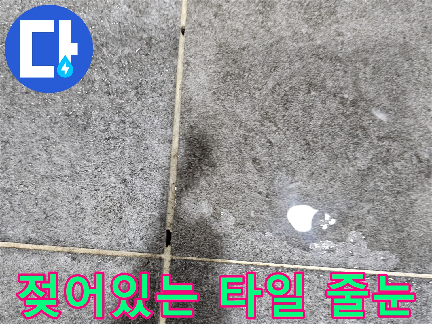 습기가-맺힌-화장실-바닥-타일면