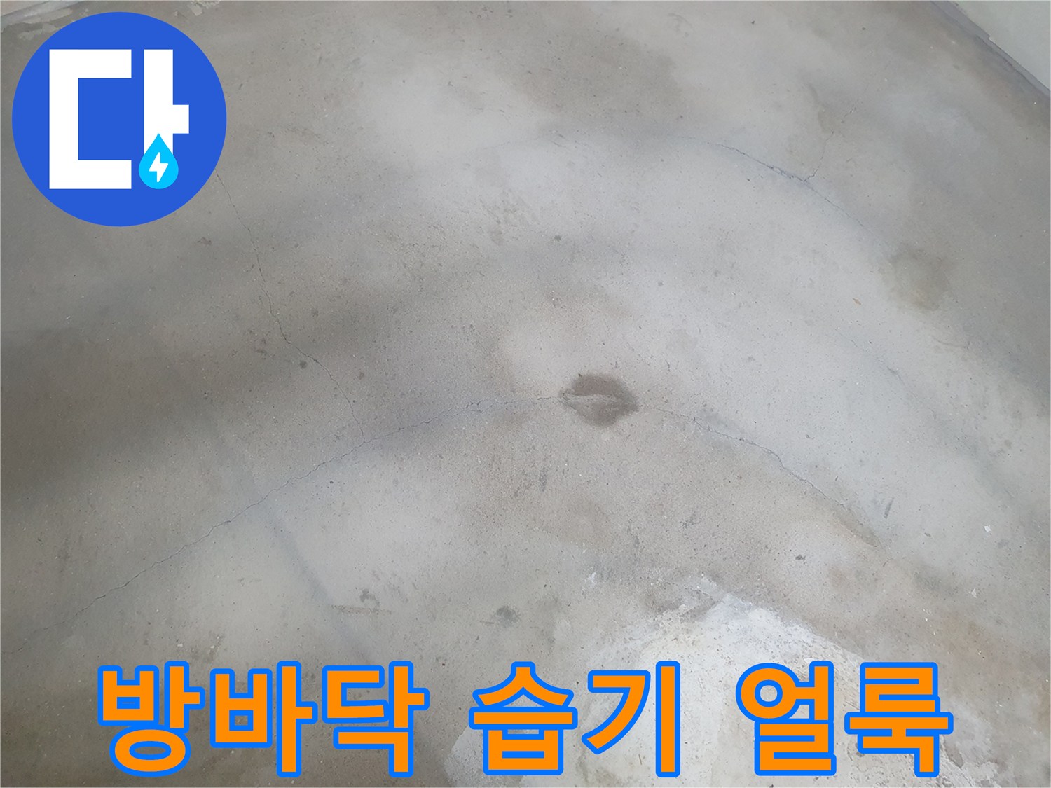 반지하 거실 바닥-습기로 인한 변색된 바닥면 상태