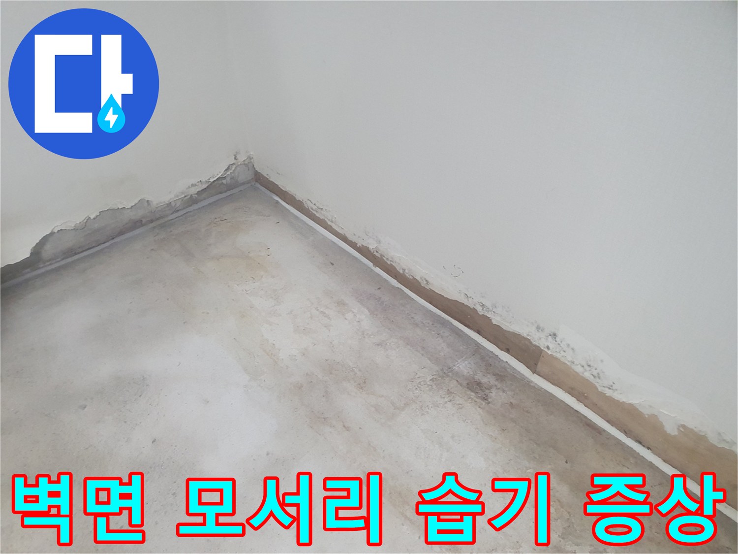 원미구-반지하-주택-벽면-모서리-습기-및-들뜸-현상