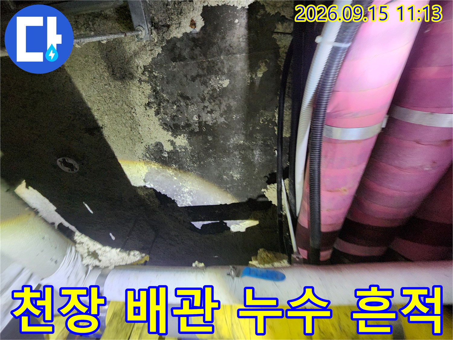 지하 창고 천장의-젖은 얼룩과 보온재 마감된 배관