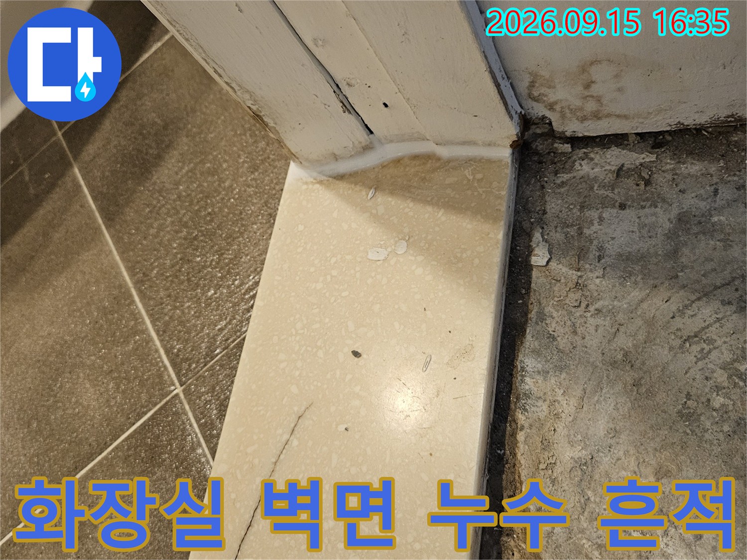 고양시 일산동구 욕실-벽면 타일 틈새 습기 및 물때 현상